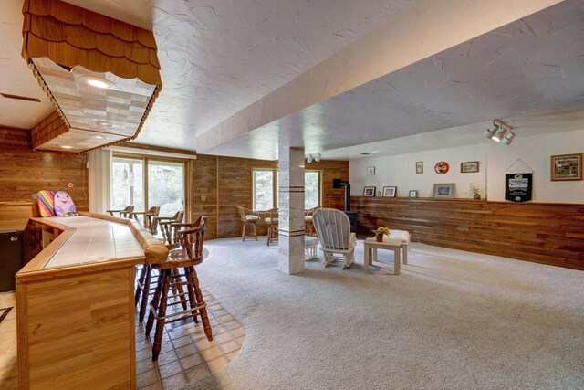 W5854 Bubbling Springs Dr, Elkhorn, WI 53121 - interior space with wood walls, a wood stove, and carpet flooring
