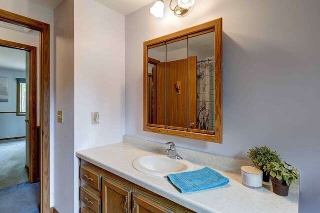 W5854 Bubbling Springs Dr, Elkhorn, WI 53121 - bathroom with vanity