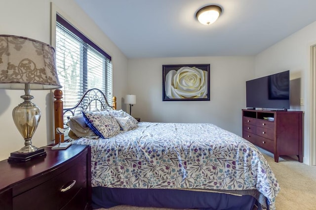 6679 S Chickahauk Trl, Middleton, WI 53562 - view of carpeted bedroom