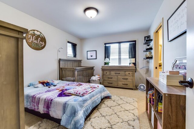 6679 S Chickahauk Trl, Middleton, WI 53562 - bedroom with carpet