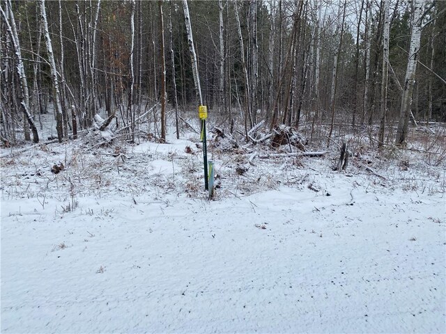 ON Sorenson Rd, Port Wing, WI 54865