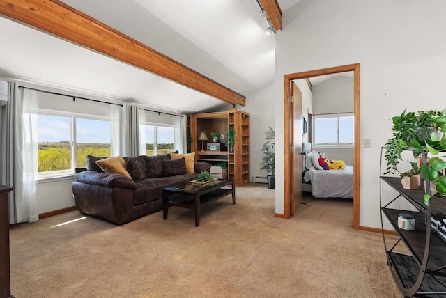 1690 Kestrel Ln, Blue Mounds, WI 53517 - living room featuring baseboard heating, light colored carpet, and baseboards
