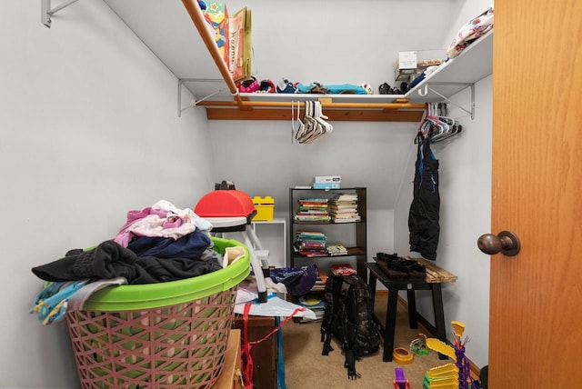 1690 Kestrel Ln, Blue Mounds, WI 53517 - view of storage area