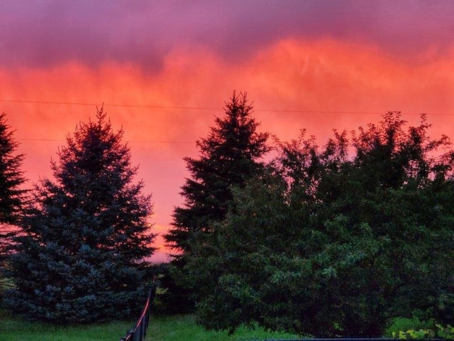 1690 Kestrel Ln, Blue Mounds, WI 53517 - view of nature