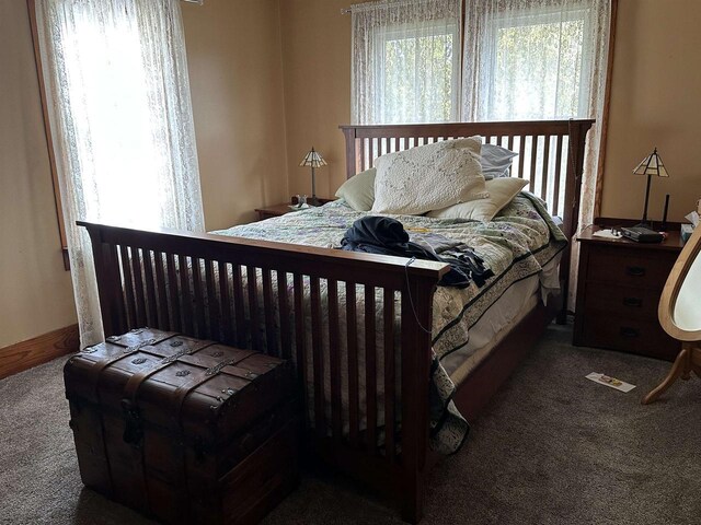 7533 N Evergreen Dr, Algoma, WI 54201 - bedroom featuring carpet flooring and multiple windows