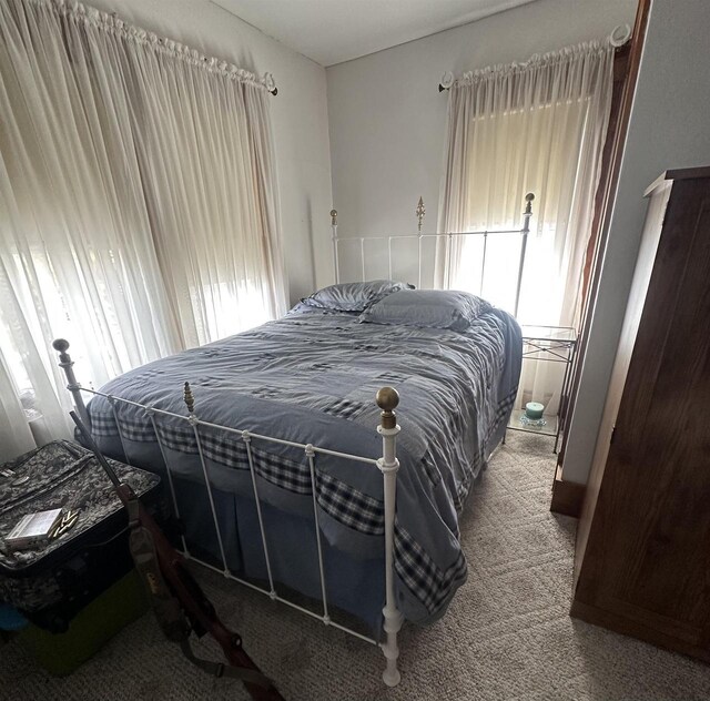 7533 N Evergreen Dr, Algoma, WI 54201 - carpeted bedroom featuring multiple windows