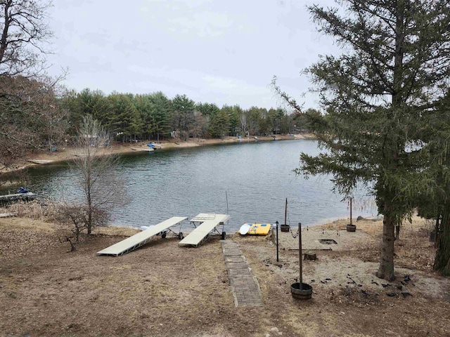 N9148 Sandy Lake Rd, Neshkoro, WI 54960 - exterior space with a dock