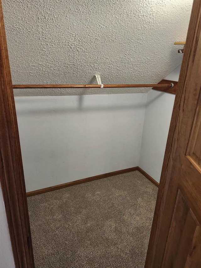 N9148 Sandy Lake Rd, Neshkoro, WI 54960 - spacious closet with carpet floors and lofted ceiling
