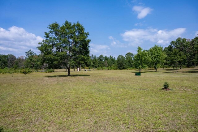 N9656 19th Ave, Necedah, WI 54646 - view of landscape