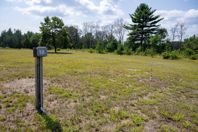 N9656 19th Ave, Necedah, WI 54646 - exterior space featuring a forest view