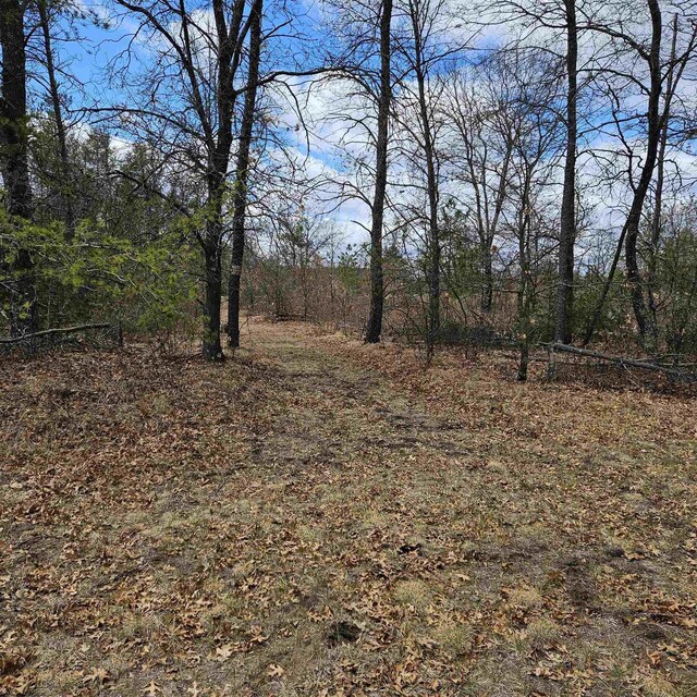 N9656 19th Ave, Necedah, WI 54646 - view of landscape