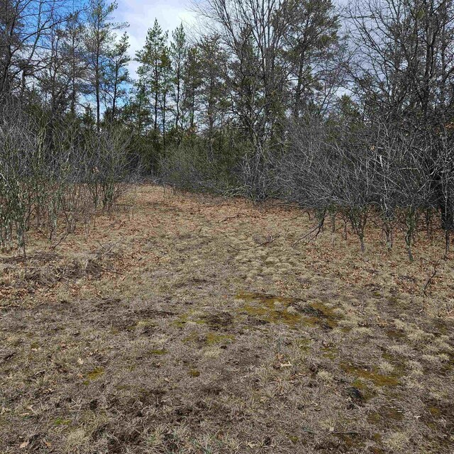 N9656 19th Ave, Necedah, WI 54646 - view of nature