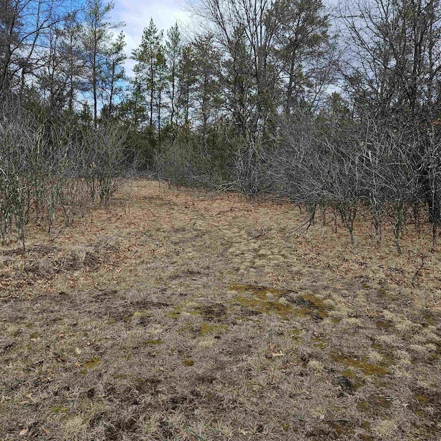 N9656 19th Ave, Necedah, WI 54646 - view of nature