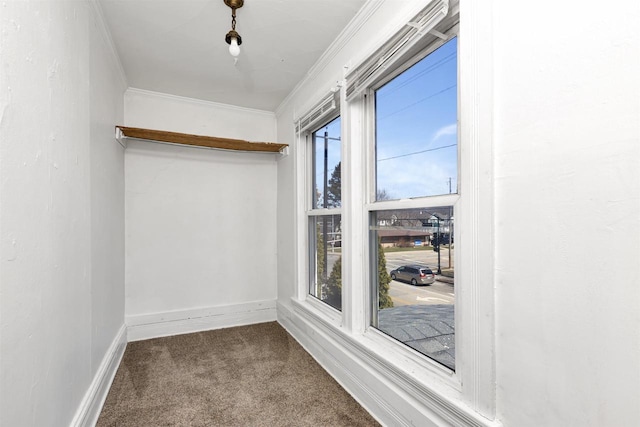 spacious closet with carpet floors