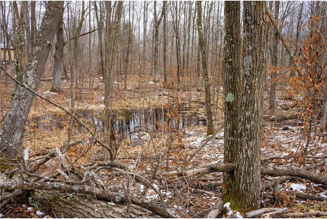61128 Fleming Loop, Askov, MN 55704 - view of local wilderness