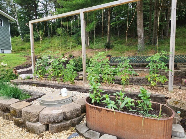 26350 Drake Ln, Cazenovia, WI 53924 - view of yard with a vegetable garden