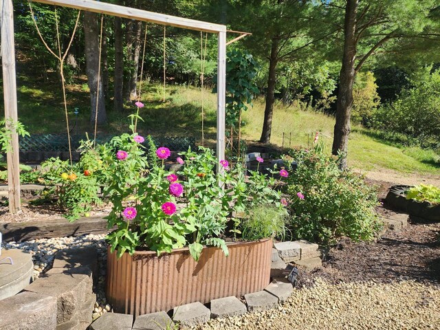 26350 Drake Ln, Cazenovia, WI 53924 - view of yard with a vegetable garden