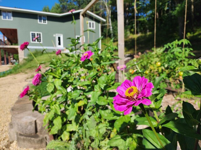 26350 Drake Ln, Cazenovia, WI 53924 - view of exterior details
