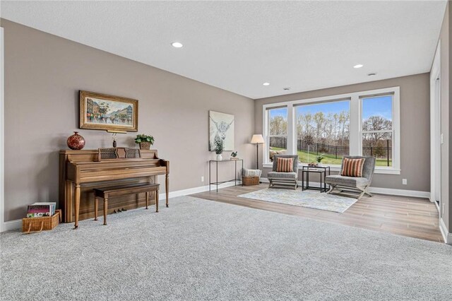 438 Highland Vw, Houlton, WI 54082 - living area featuring a textured ceiling, wood finished floors, recessed lighting, and baseboards