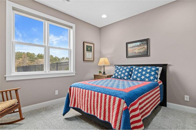 438 Highland Vw, Houlton, WI 54082 - bedroom featuring carpet flooring and baseboards