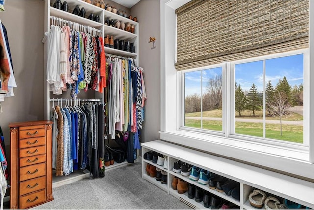 438 Highland Vw, Houlton, WI 54082 - walk in closet with carpet floors