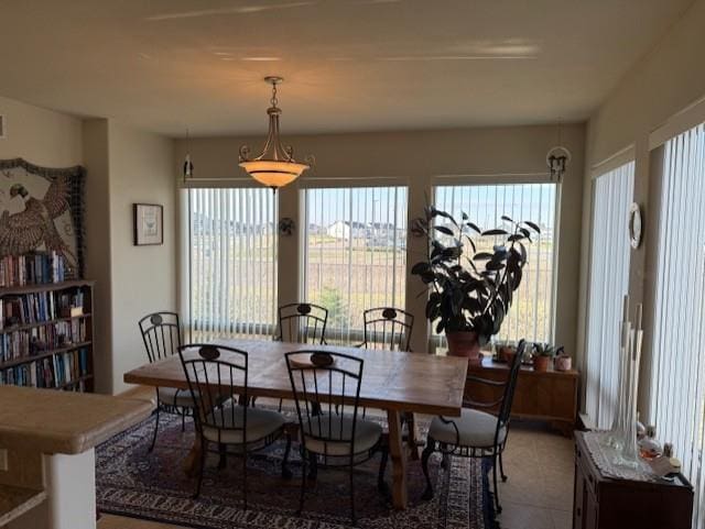 2026 Stonehaven Dr, Sun Prairie, WI 53590 - dining space with a healthy amount of sunlight