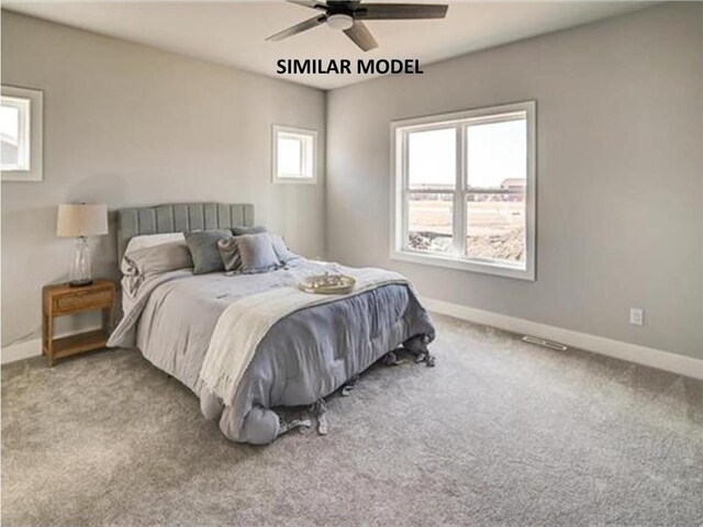 6643 Royal View Dr, Deforest, WI 53532 - bedroom with multiple windows, carpet floors, and baseboards