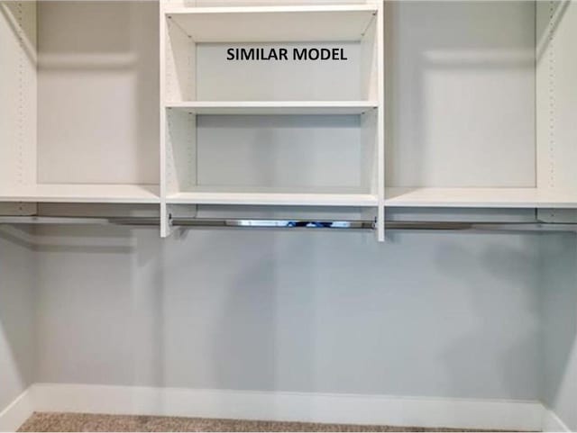 6643 Royal View Dr, Deforest, WI 53532 - view of walk in closet