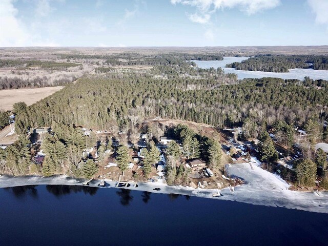 N10444 N Horseshoe Rd, Tomahawk, WI 54487 - aerial view with a water view and a forest view