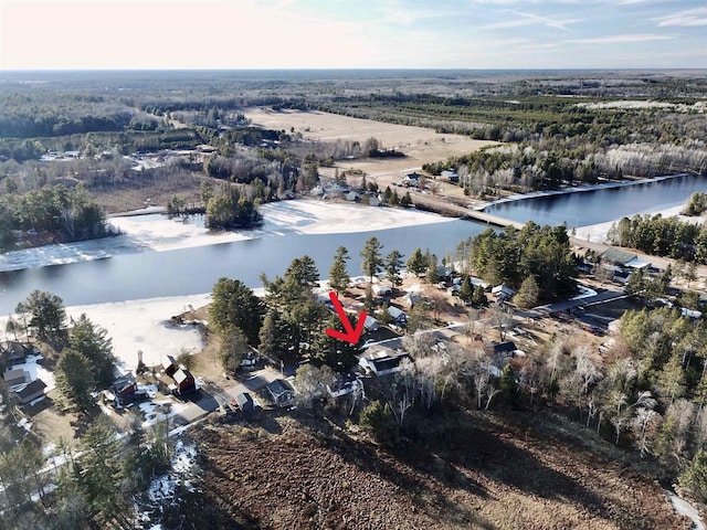 N10444 N Horseshoe Rd, Tomahawk, WI 54487 - bird's eye view with a water view