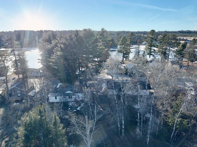N10444 N Horseshoe Rd, Tomahawk, WI 54487 - drone / aerial view with a forest view