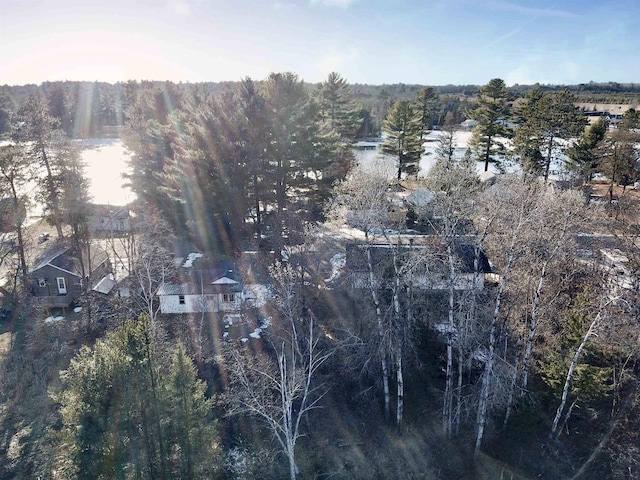 N10444 N Horseshoe Rd, Tomahawk, WI 54487 - aerial view featuring a forest view