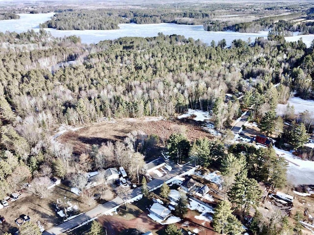 N10444 N Horseshoe Rd, Tomahawk, WI 54487 - birds eye view of property featuring a forest view