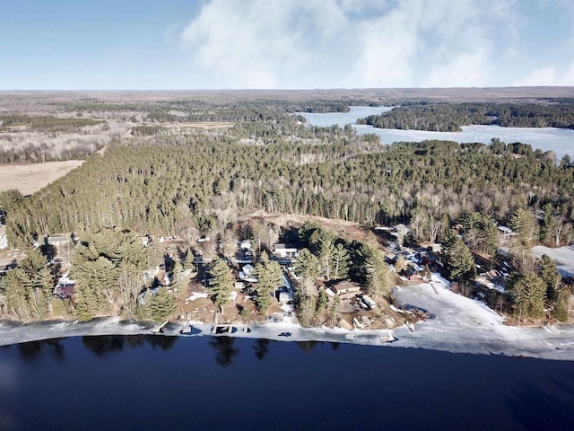 N10444 N Horseshoe Rd, Tomahawk, WI 54487 - bird's eye view featuring a water view and a wooded view