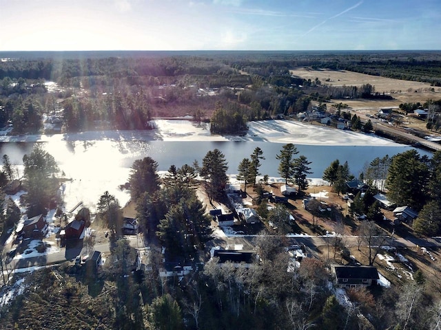 N10444 N Horseshoe Rd, Tomahawk, WI 54487 - drone / aerial view featuring a water view and a view of trees