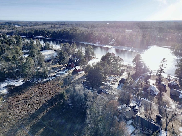 N10444 N Horseshoe Rd, Tomahawk, WI 54487 - drone / aerial view featuring a wooded view and a water view