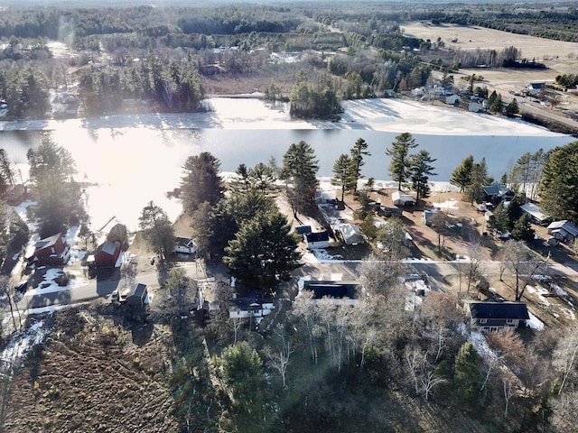 N10444 N Horseshoe Rd, Tomahawk, WI 54487 - drone / aerial view with a water view and a view of trees
