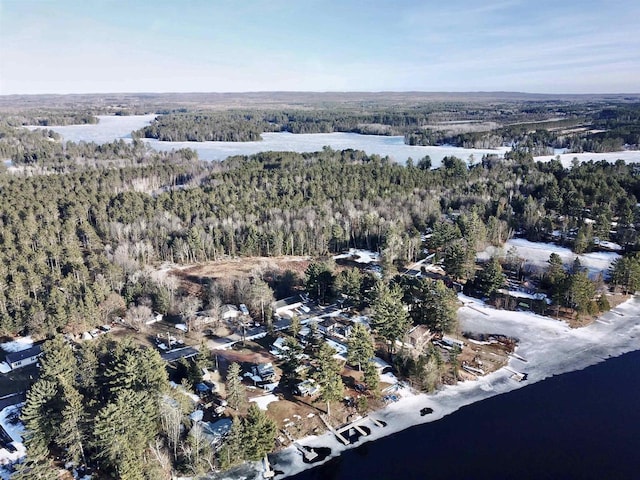 N10444 N Horseshoe Rd, Tomahawk, WI 54487 - drone / aerial view with a water view and a wooded view
