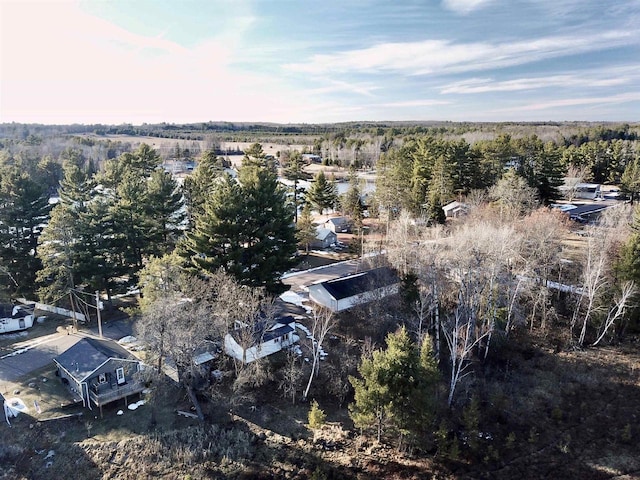 N10444 N Horseshoe Rd, Tomahawk, WI 54487 - drone / aerial view featuring a view of trees