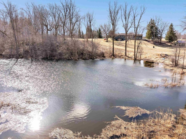 3237 Mill Rd, Greenleaf, WI 54126 - view of water feature