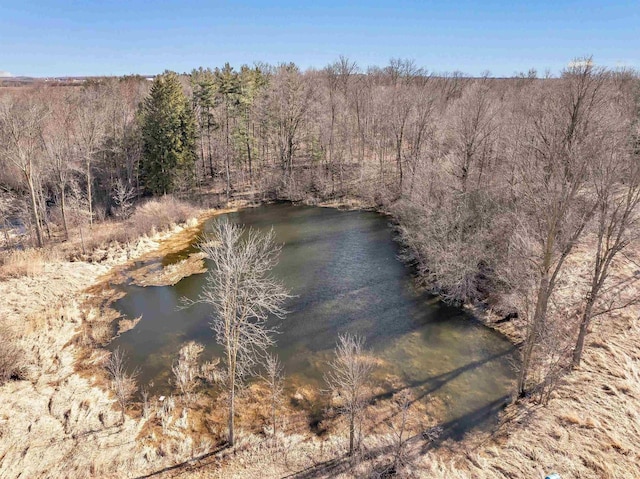 3237 Mill Rd, Greenleaf, WI 54126 - water view with a wooded view