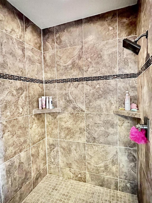 interior details with tiled shower