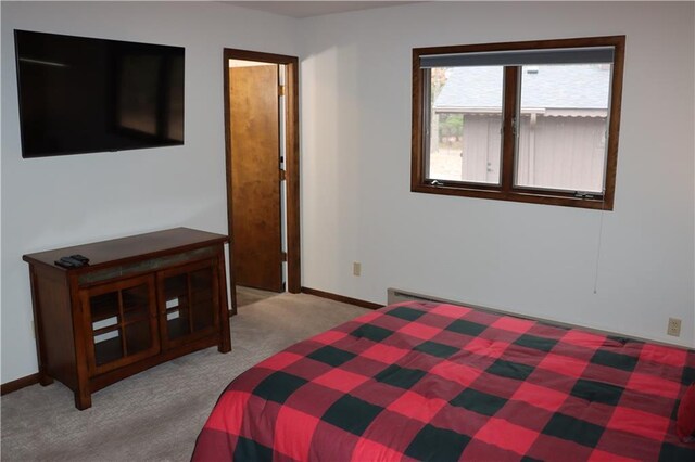 28942 Spring Green Way, Danbury, WI 54830 - carpeted bedroom with baseboards