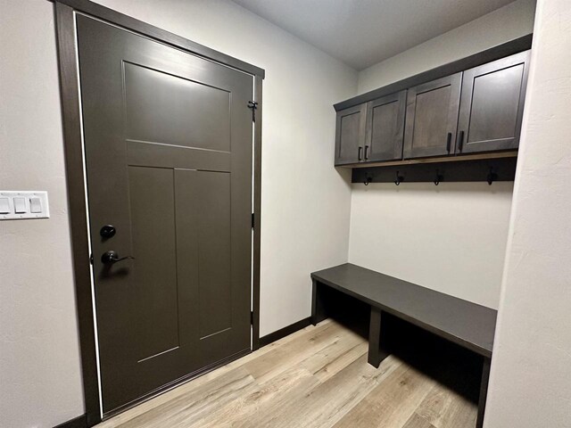 N1647 21st Ave, Wautoma, WI 54982 - mudroom with baseboards and light wood-style flooring