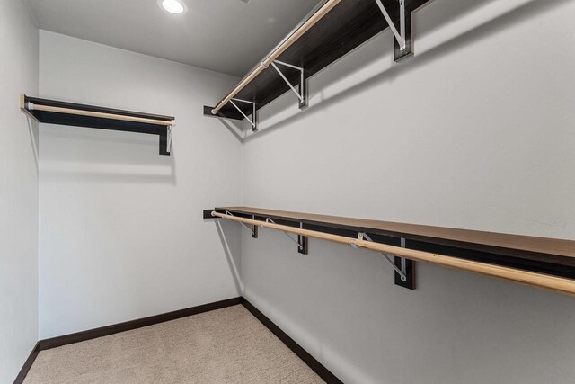 N1647 21st Ave, Wautoma, WI 54982 - walk in closet with carpet flooring