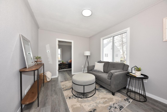 living area featuring baseboards, wood finished floors, and ornamental molding