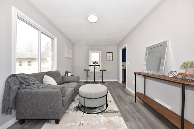living room featuring baseboards and wood finished floors