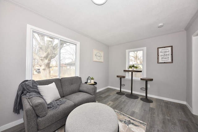 living room featuring crown molding, baseboards, and dark wood finished floors