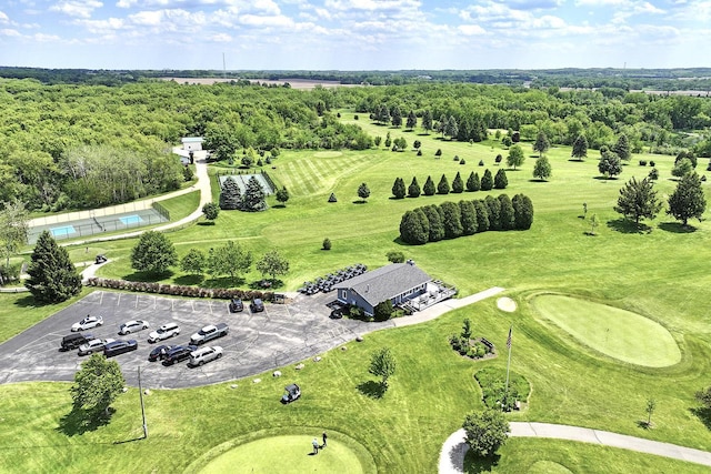 831 Sauganash Dr, Fontana, WI 53125 - aerial view