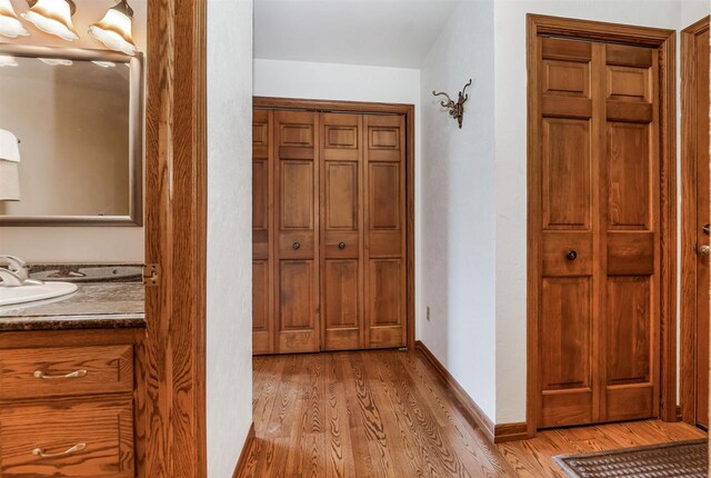 2015 Hickory Ln, Oshkosh, WI 54901 - bathroom with a closet, vanity, baseboards, and wood finished floors